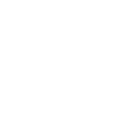 brain